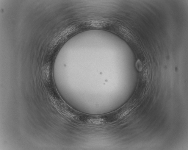 X0000056030595200509021824