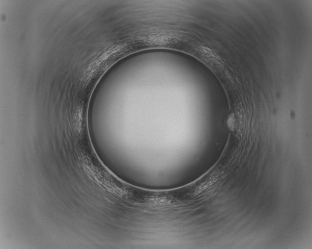 X0000056030596200509021824