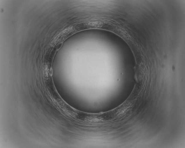 X0000056030597200509021824