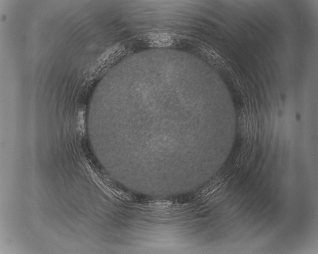 X0000056030598200509021824