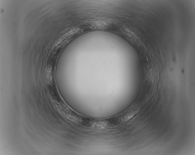 X0000056030599200509021824