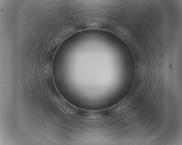 X0000056030601200509021824