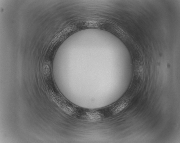 X0000056030603200509021824