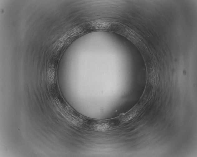 X0000056030604200509021824