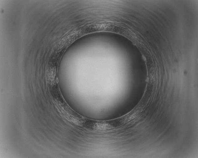 X0000056030605200509021823