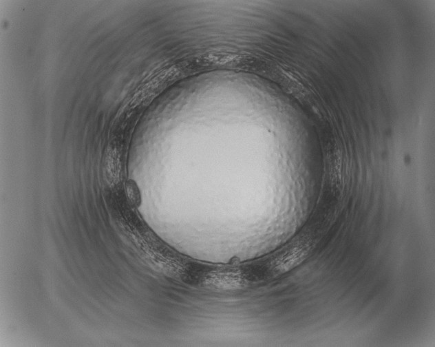 X0000056030606200509021823