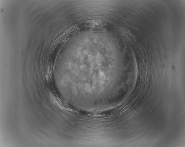 X0000056030607200509021823