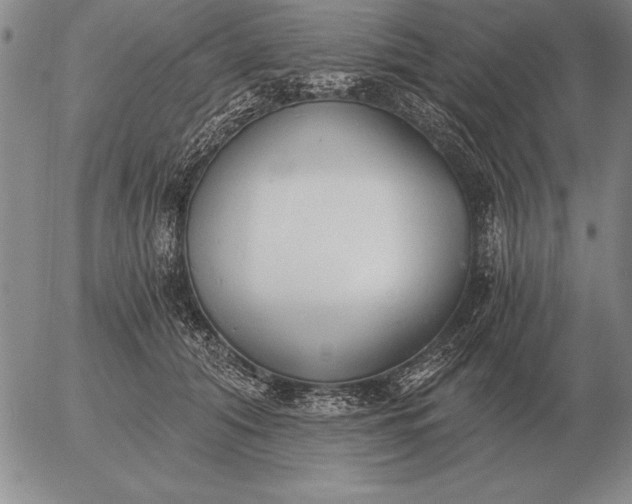 X0000056030608200509021823