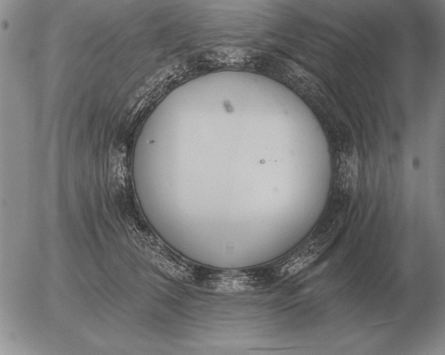 X0000056030612200509021823