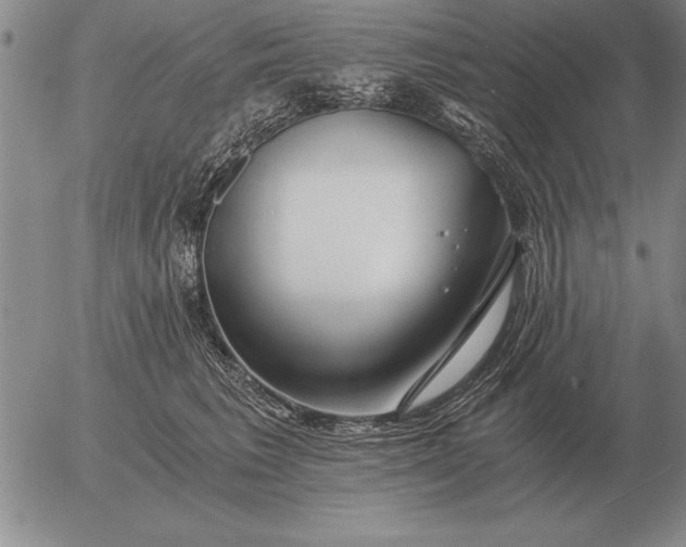 X0000056030613200509021823