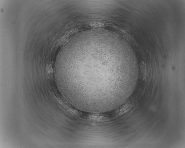 X0000056030614200509021823