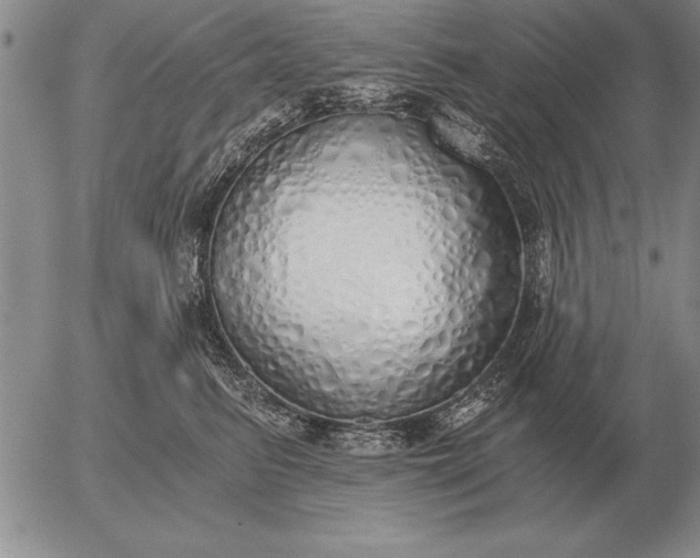 X0000056030615200509021823