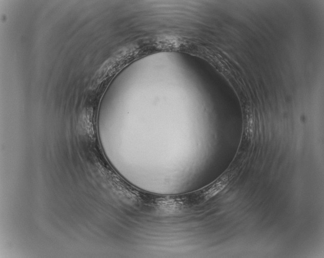 X0000056030616200509021823