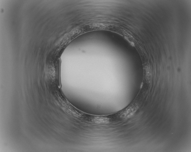 X0000056030617200509021823