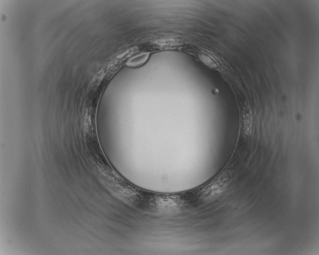 X0000056030618200509021823