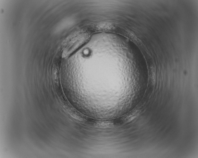 X0000056030619200509021823