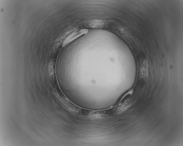 X0000056030620200509021823