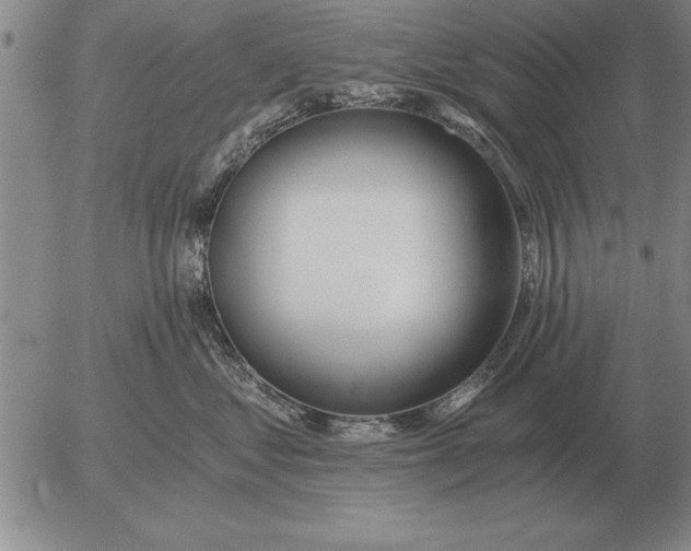 X0000056030621200509021823