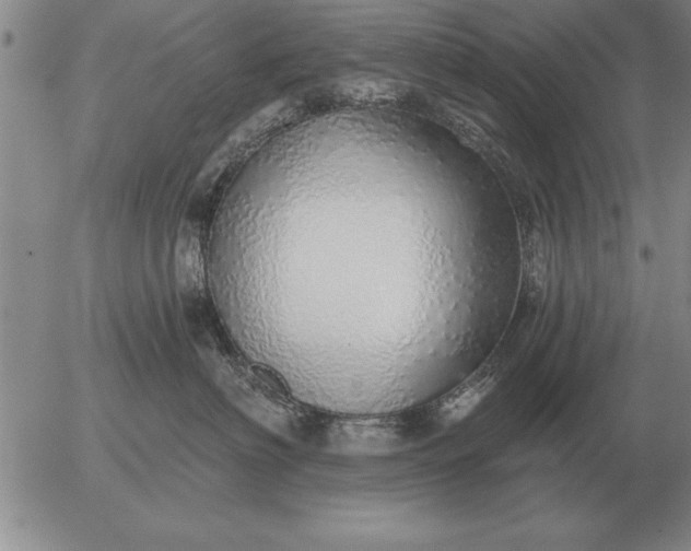 X0000056030622200509021823