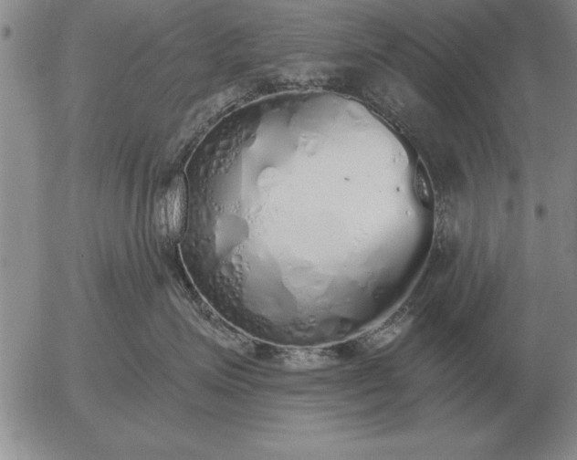 X0000056030623200509021823