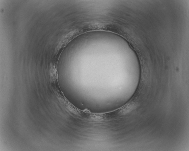 X0000056030624200509021823