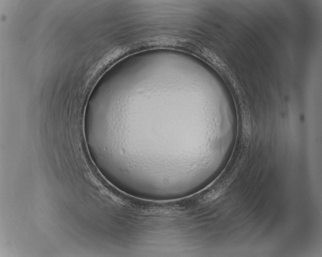 X0000056030625200509021822