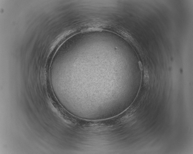 X0000056030626200509021822