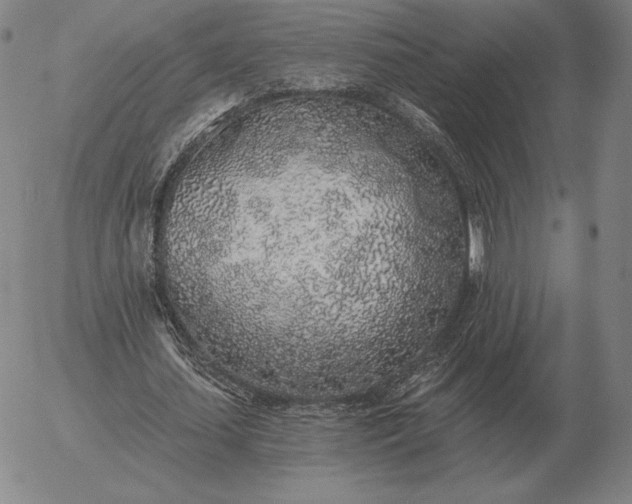 X0000056030627200509021822