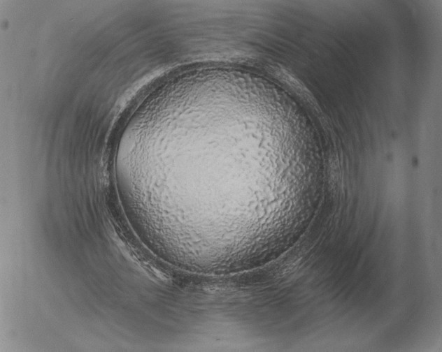 X0000056030628200509021822