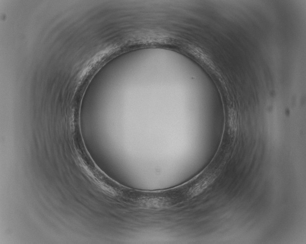 X0000056030629200509021822