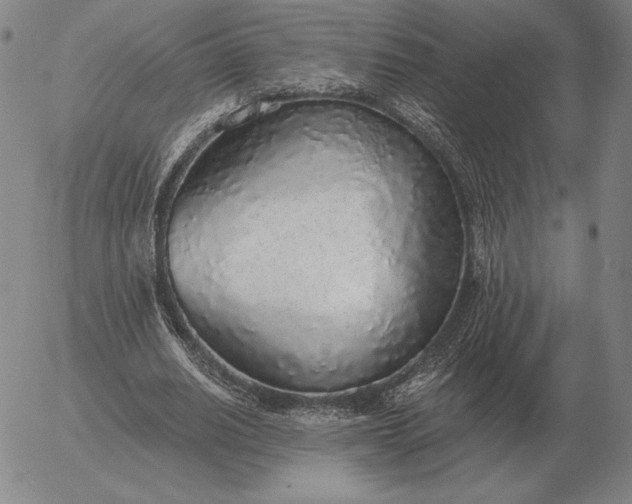 X0000056030630200509021822