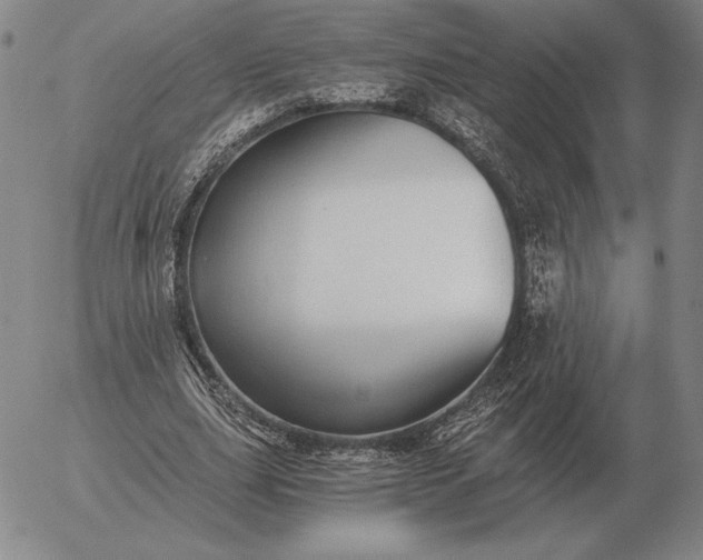 X0000056030631200509021822