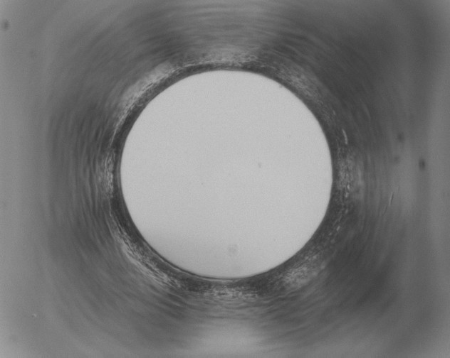 X0000056030632200509021822