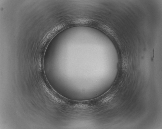 X0000056030633200509021822