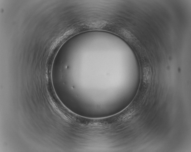 X0000056030634200509021823