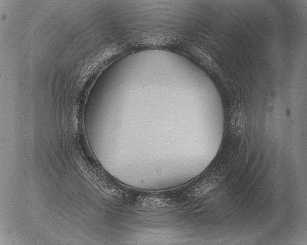 X0000056030635200509021823