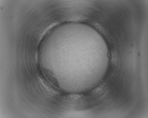 X0000056030636200509021823