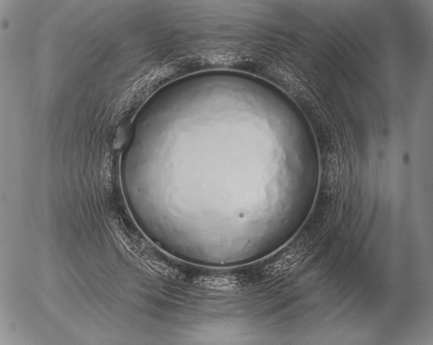 X0000056030639200509021823