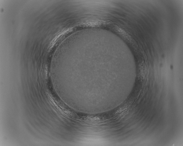 X0000056030640200509021823