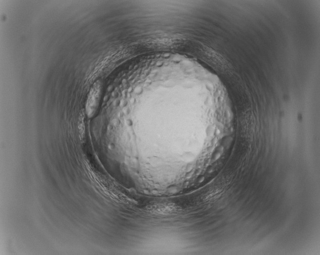 X0000056030642200509021823