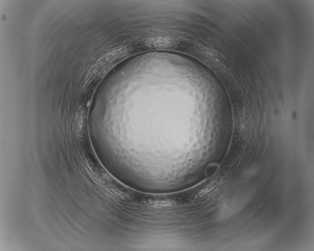 X0000056030645200509021823