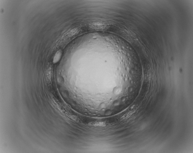 X0000056030647200509021823