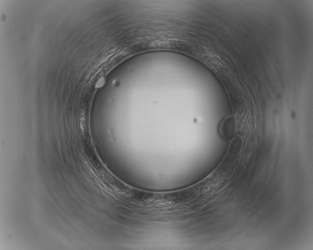 X0000056030648200509021823