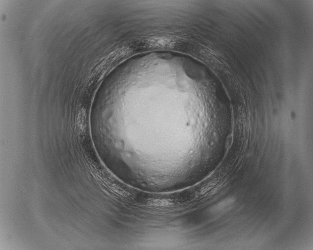 X0000056030649200509021823