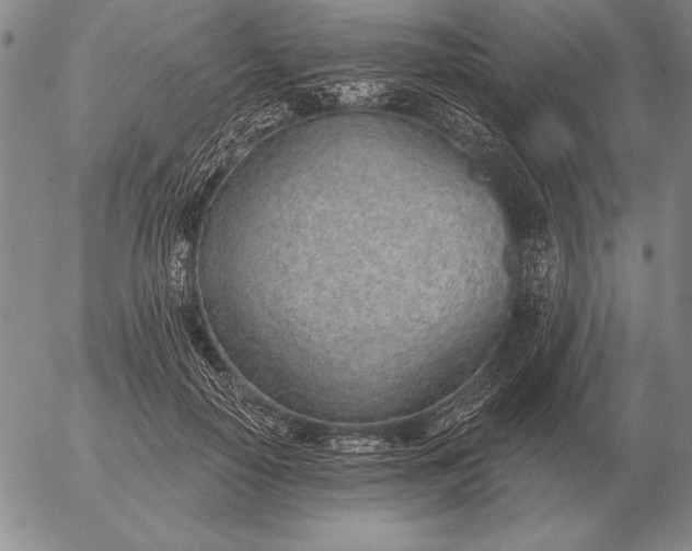 X0000056030650200509021823