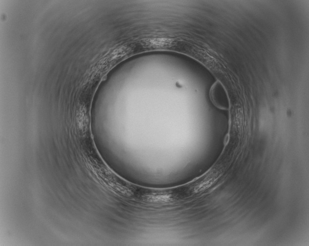 X0000056030651200509021823