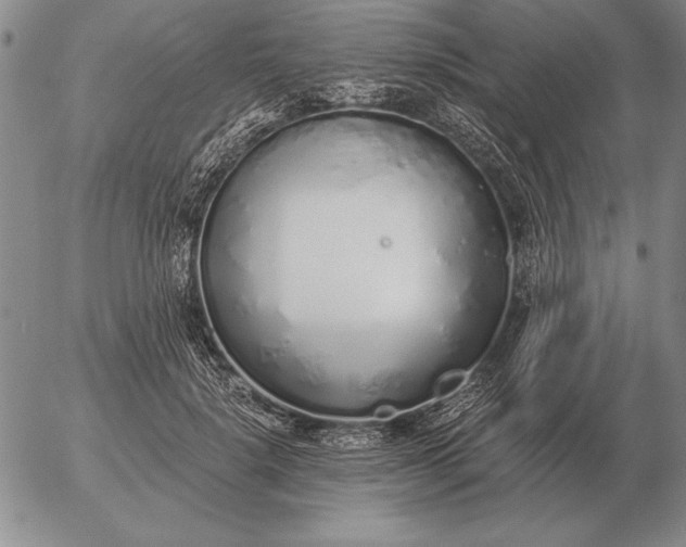 X0000056030652200509021823