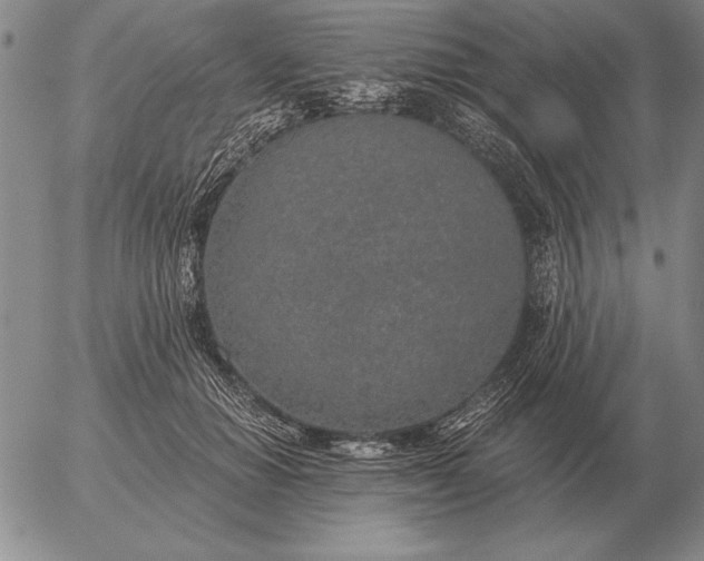 X0000056030654200509021823