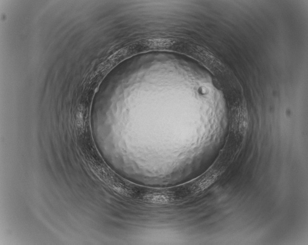 X0000056030655200509021823