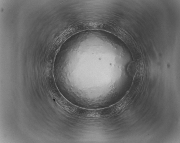 X0000056030656200509021823